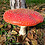 Dima_Rybik