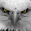 Eric_Cleitson